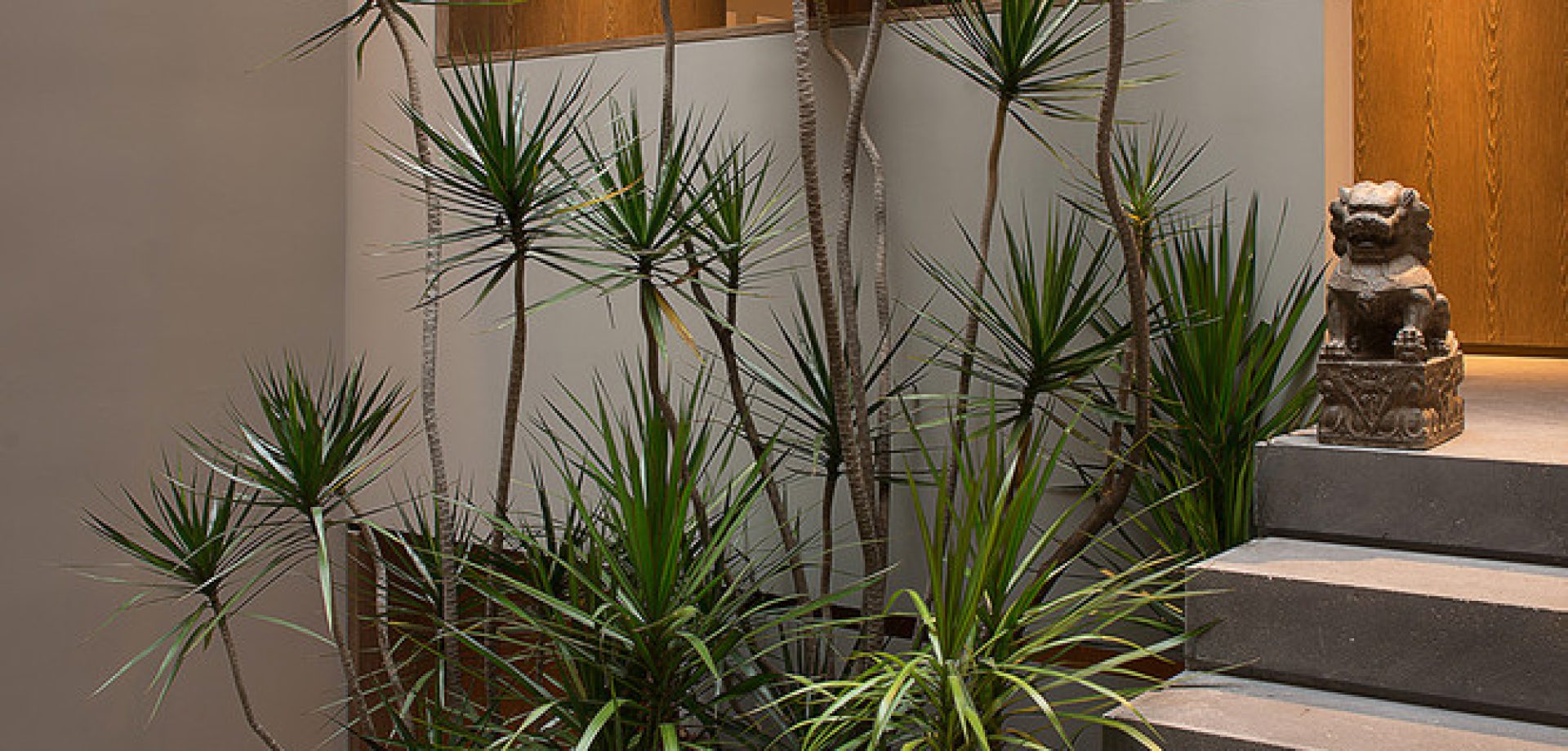 Casa_Barrancas_EZEQUIELFARCA_15