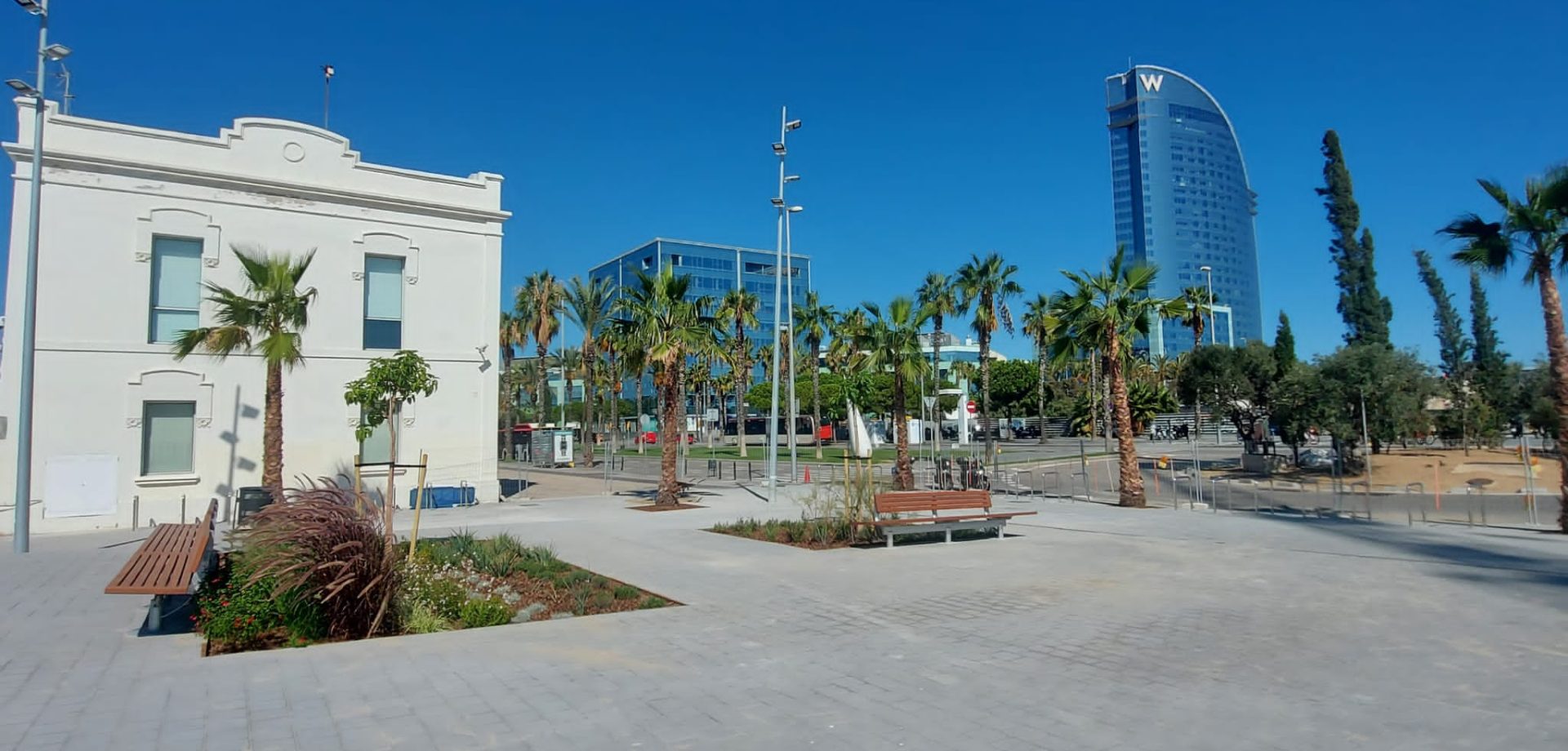 Palmeras plaça mirador MARINA VELA